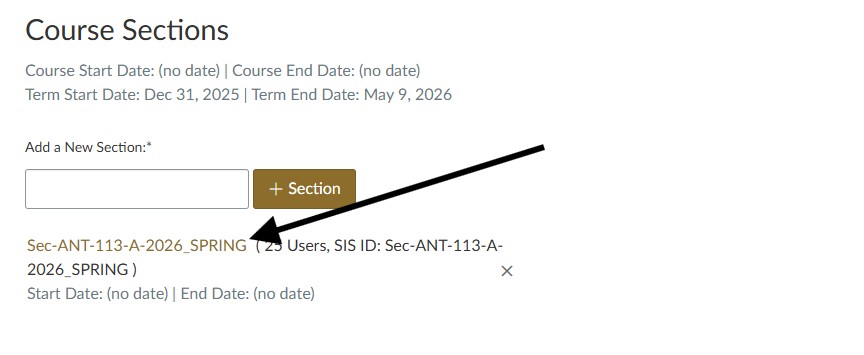 Screenshot with an arrow pointing to clicking the sections link