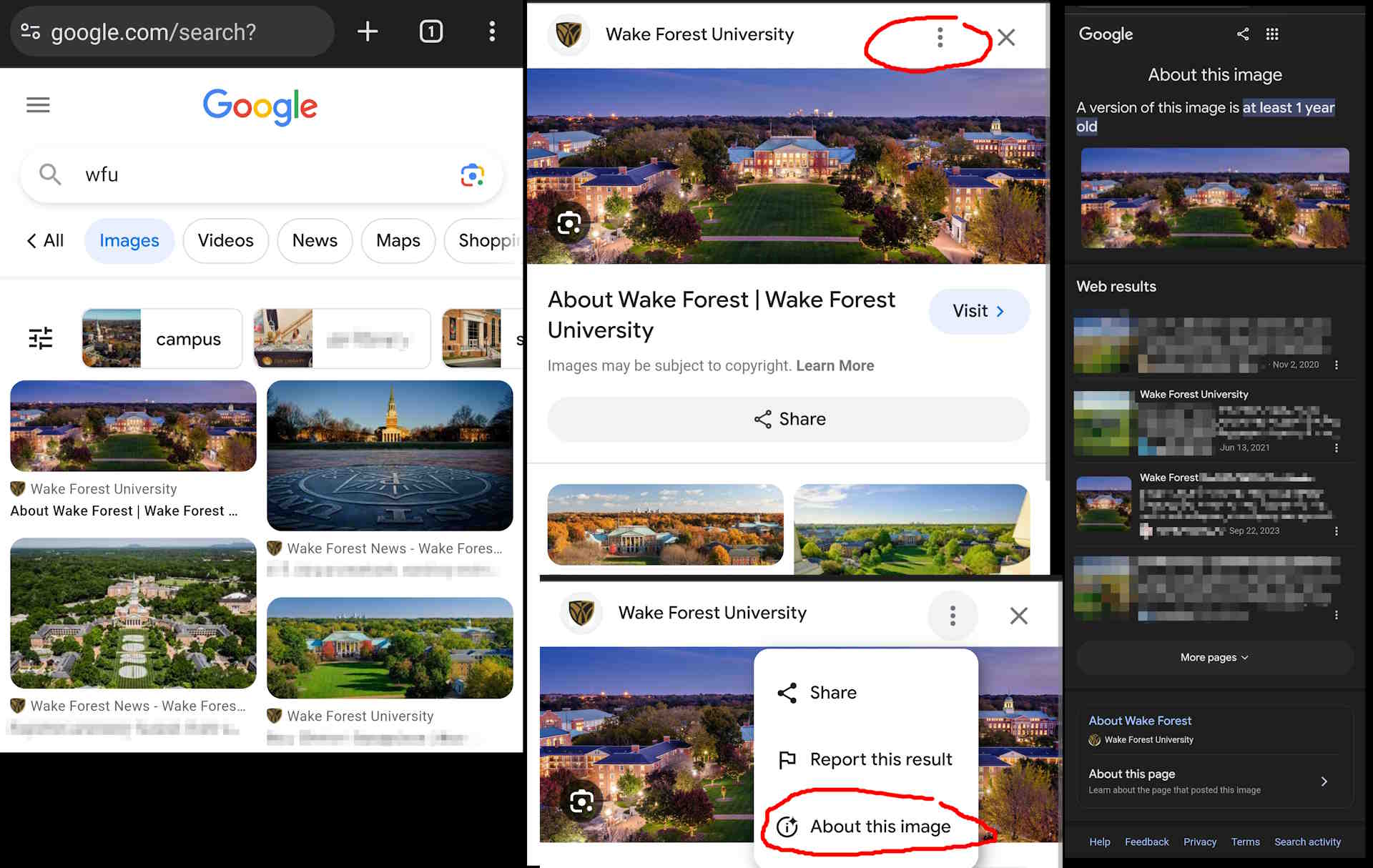 Google Search "About this image" feature
