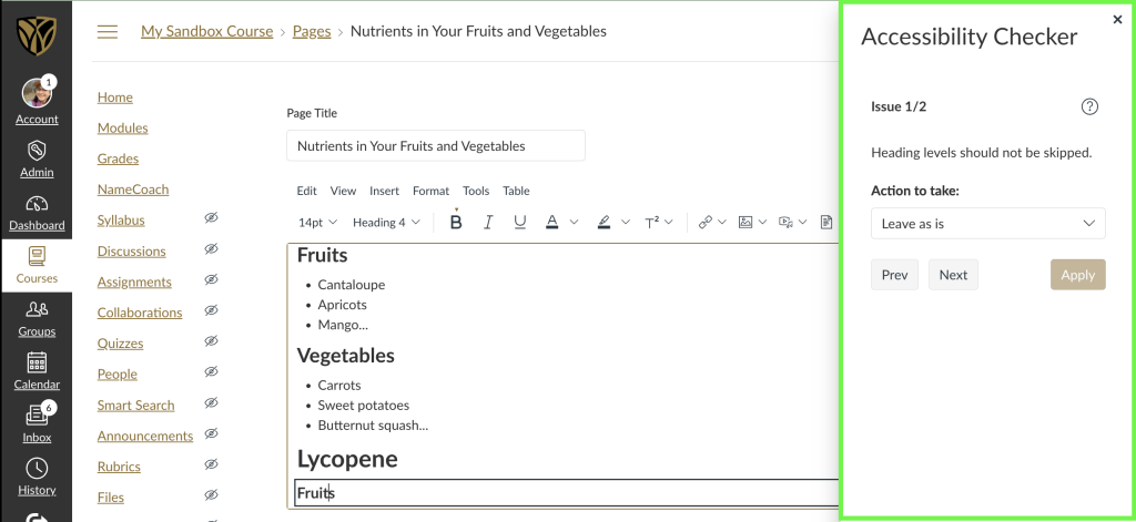 Screenshot of Canvas Rich Conent Editor with the Accessibility Checker launched, highlighted in a sidebar to the right