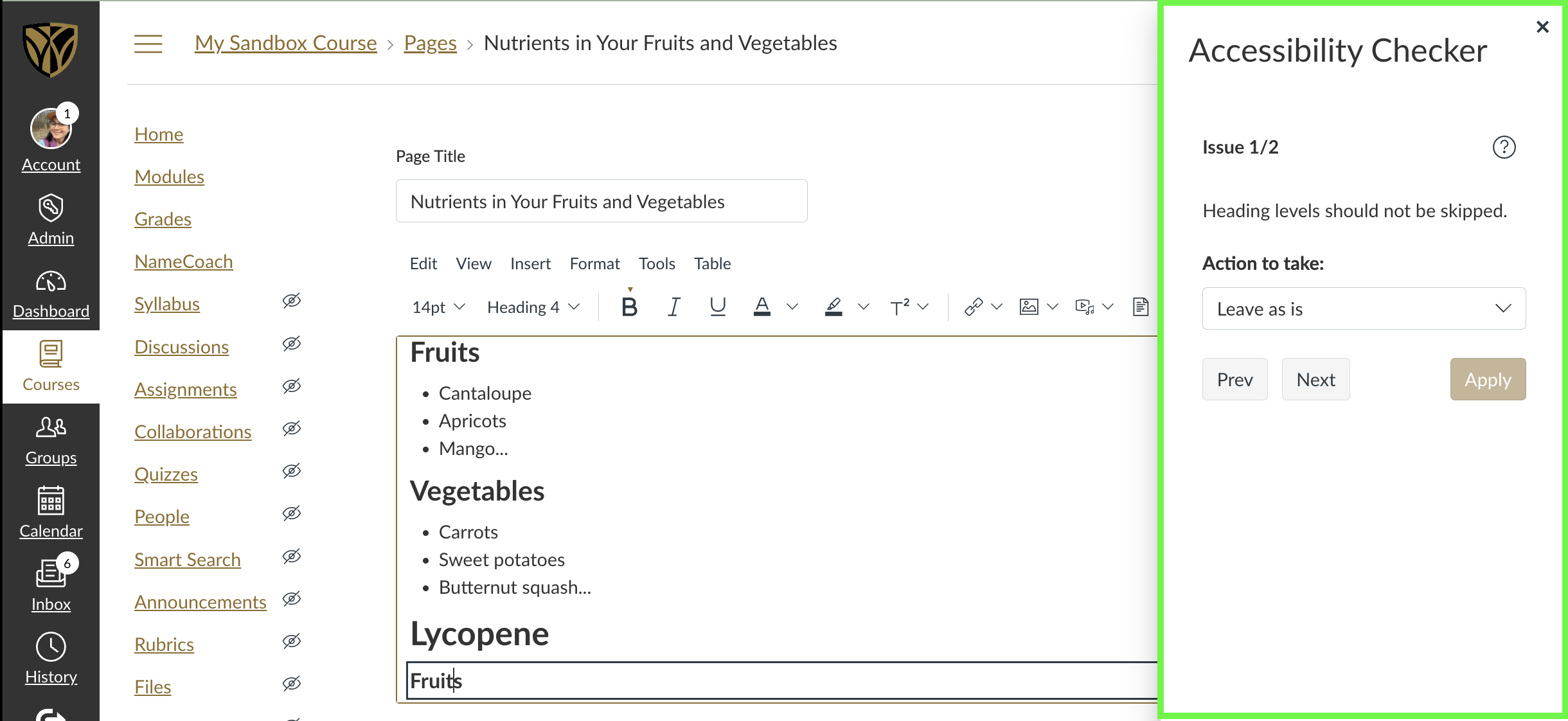 Screenshot of Canvas Rich Content Editor with the Accessibility Checker launched, highlighted in a sidebar to the right