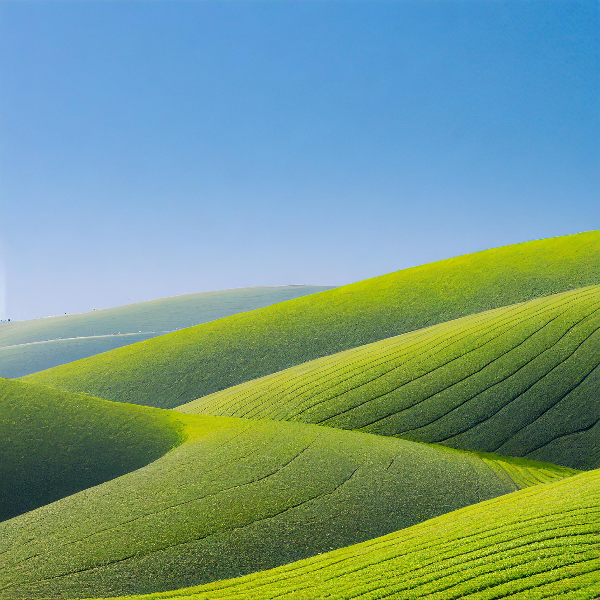 Fourth AI generated tea field