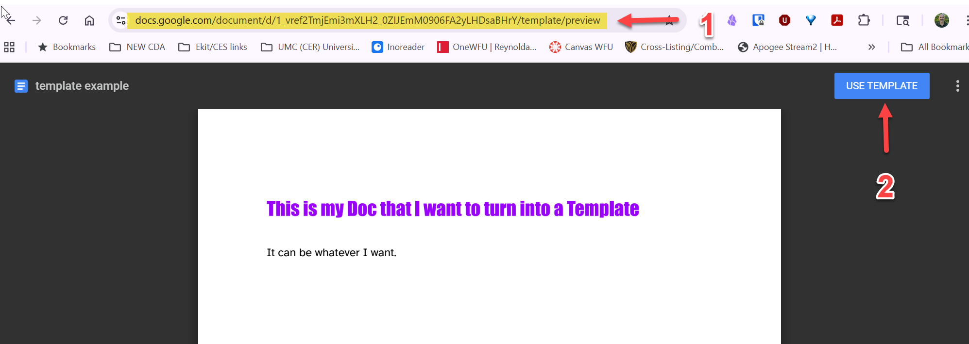 screen caputure of a google doc converted to a template view after modifying the URL with /template/preview