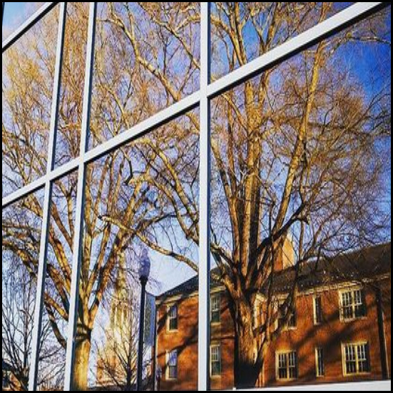 close up of windows reflecting a view of trees 