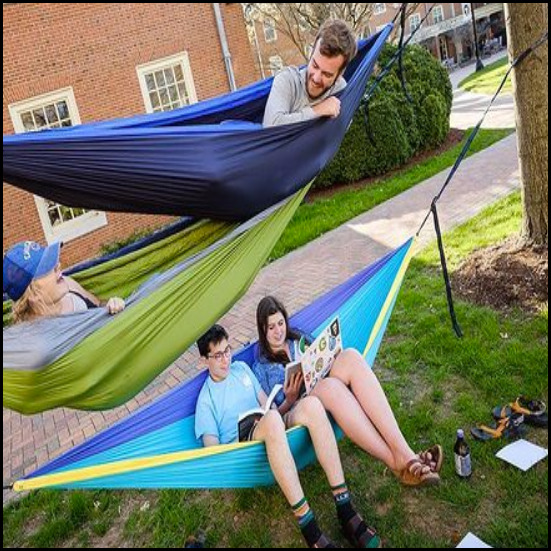 students sitting on a hammock