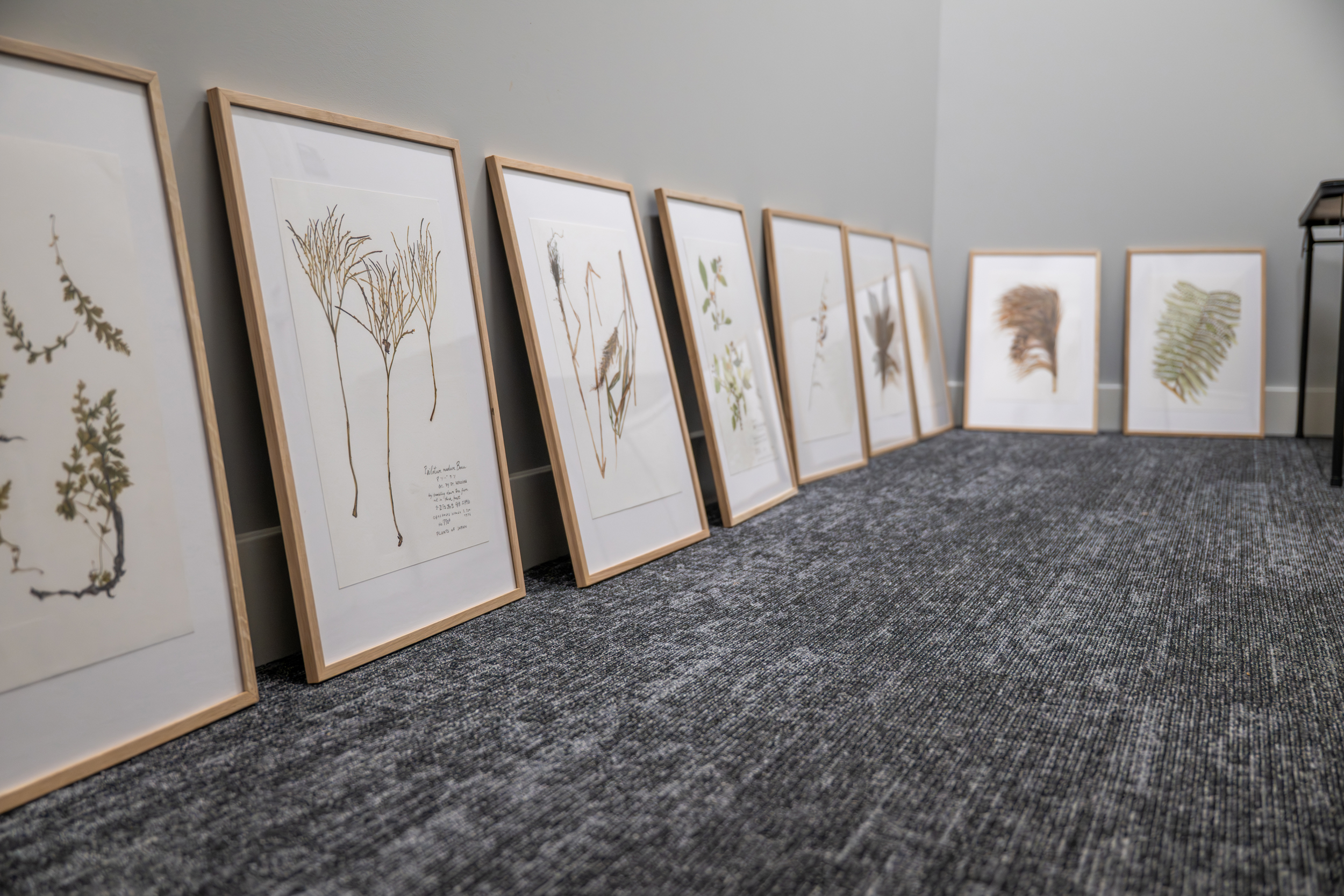 Artwork lined up on the floor.