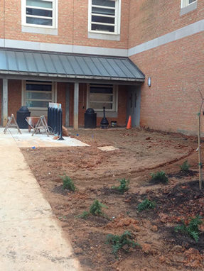 new building 1