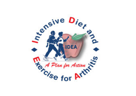 IDEA logo, a plan for action