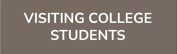 This button is a direct link to the Visiting College Students page that provides registration information for Summer School.