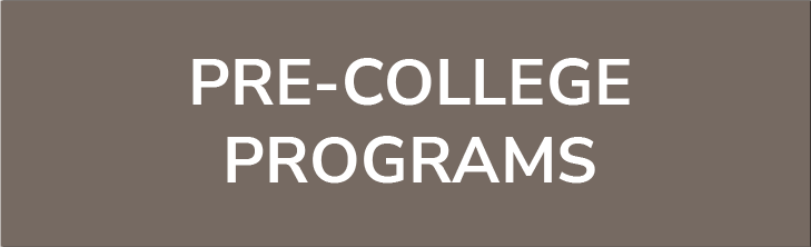 This button is a direct link to the Pre-College website at Wake Forest University.  The Pre-College website provides information about WFU programs designed for high school students.