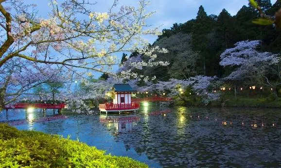 Chiba - Things to see, things to eat, what to buy, things to do, and things to know