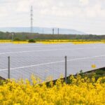 solar-panels