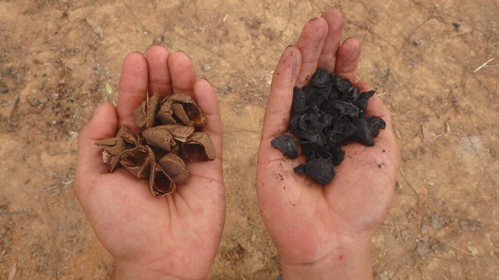 a hand holding brazil nut husks on the left and another holding biochar on the right