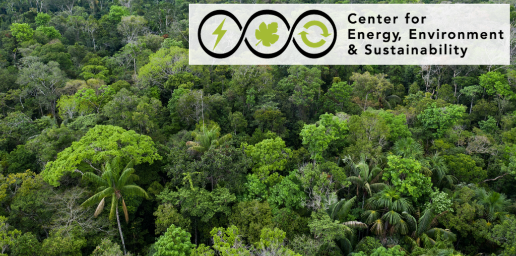 a tropical forest with the cees logo