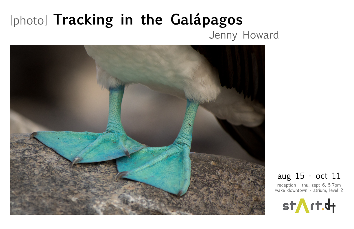 [photo] Tracking in the Galápagos