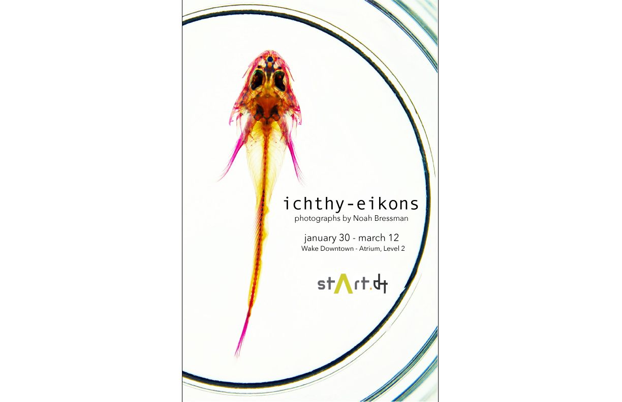 ichthy-eikons