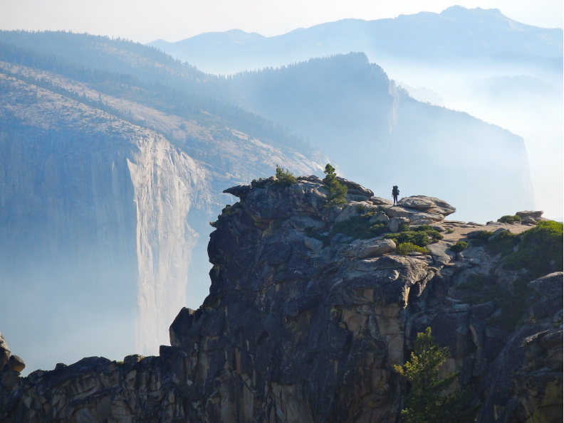 Living Landscapes- STARTyourself Natalie Brashear