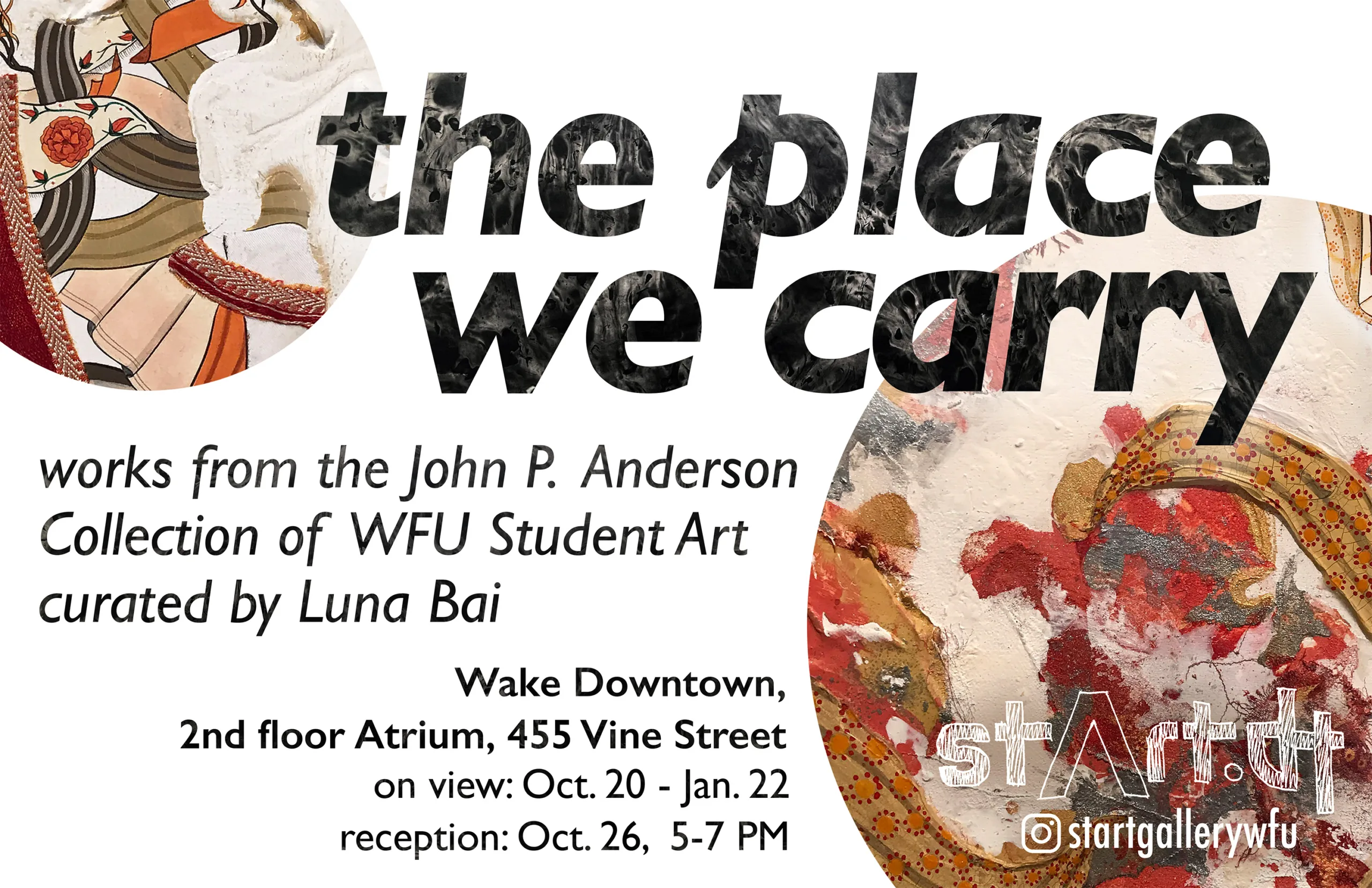 The Place We Carry - works from the John P. Anderson collection of WFU Student Art, curated by Luna Bai