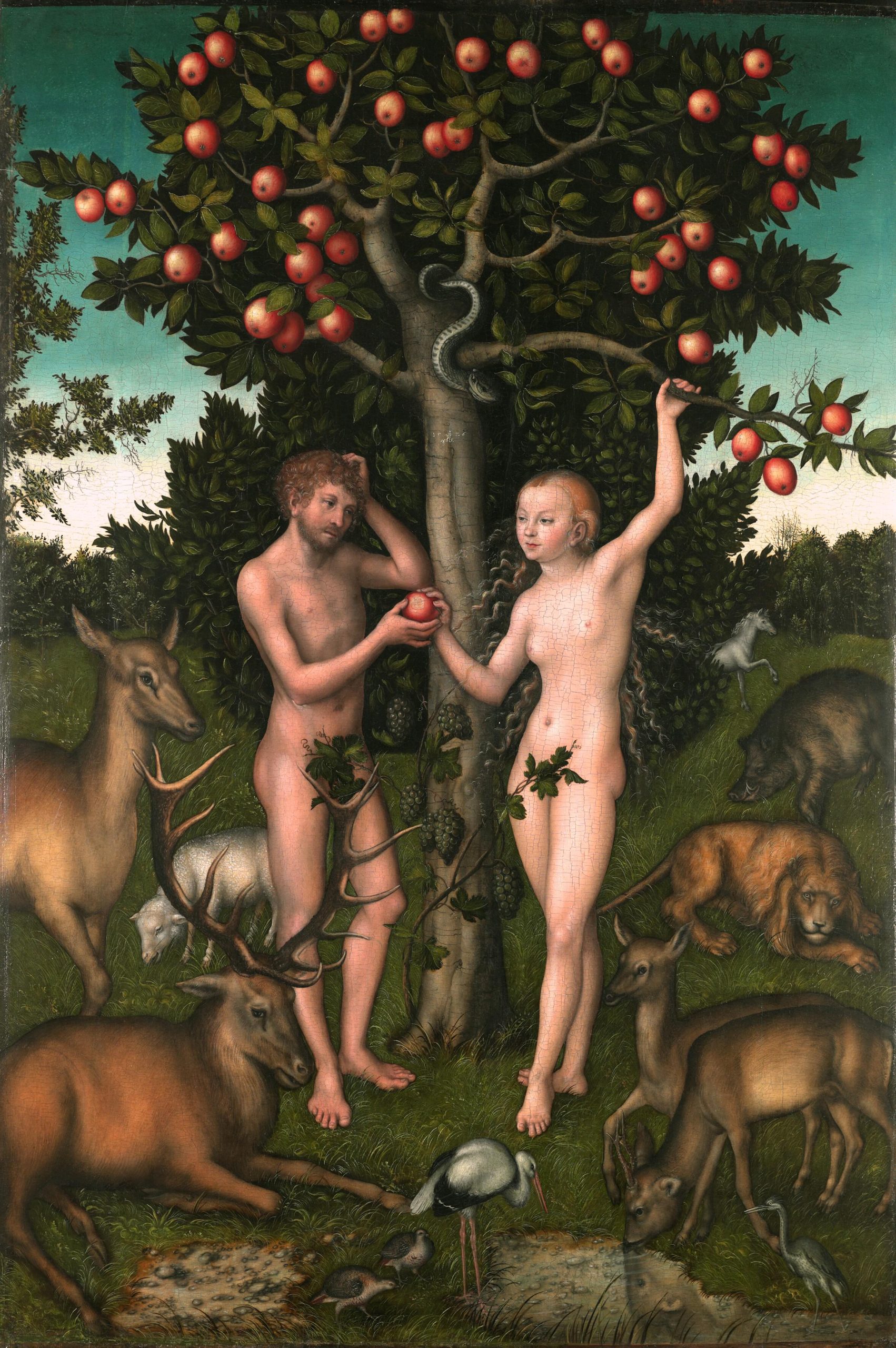 Figure 3: Adam and Eve by Lucas Cranach the Elder. Courtauld Gallery, London (Samuel Courtauld Trust). Public Domain. For more on the details and symbolism of the painting, see Petry.