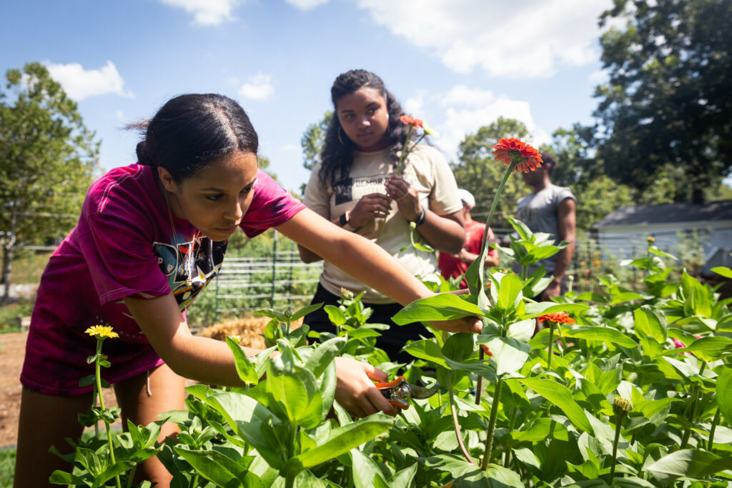 Campus Garden