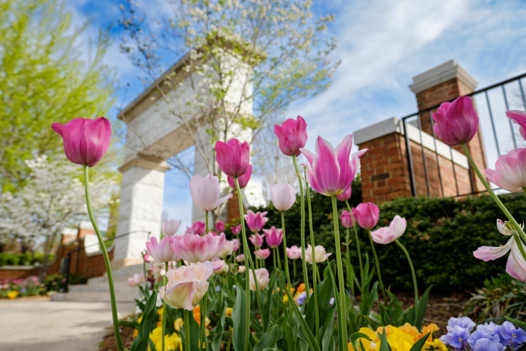 Flowers on Hearn Plaza