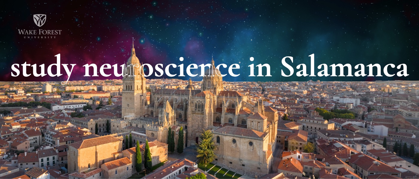 picture of the Salamanca skyline that says Study Neuroscience in Salamanca