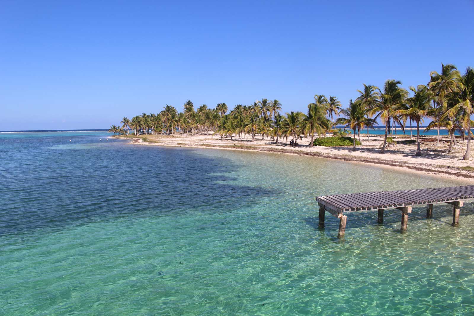 WFU Sustainability Graduate Students in Belize