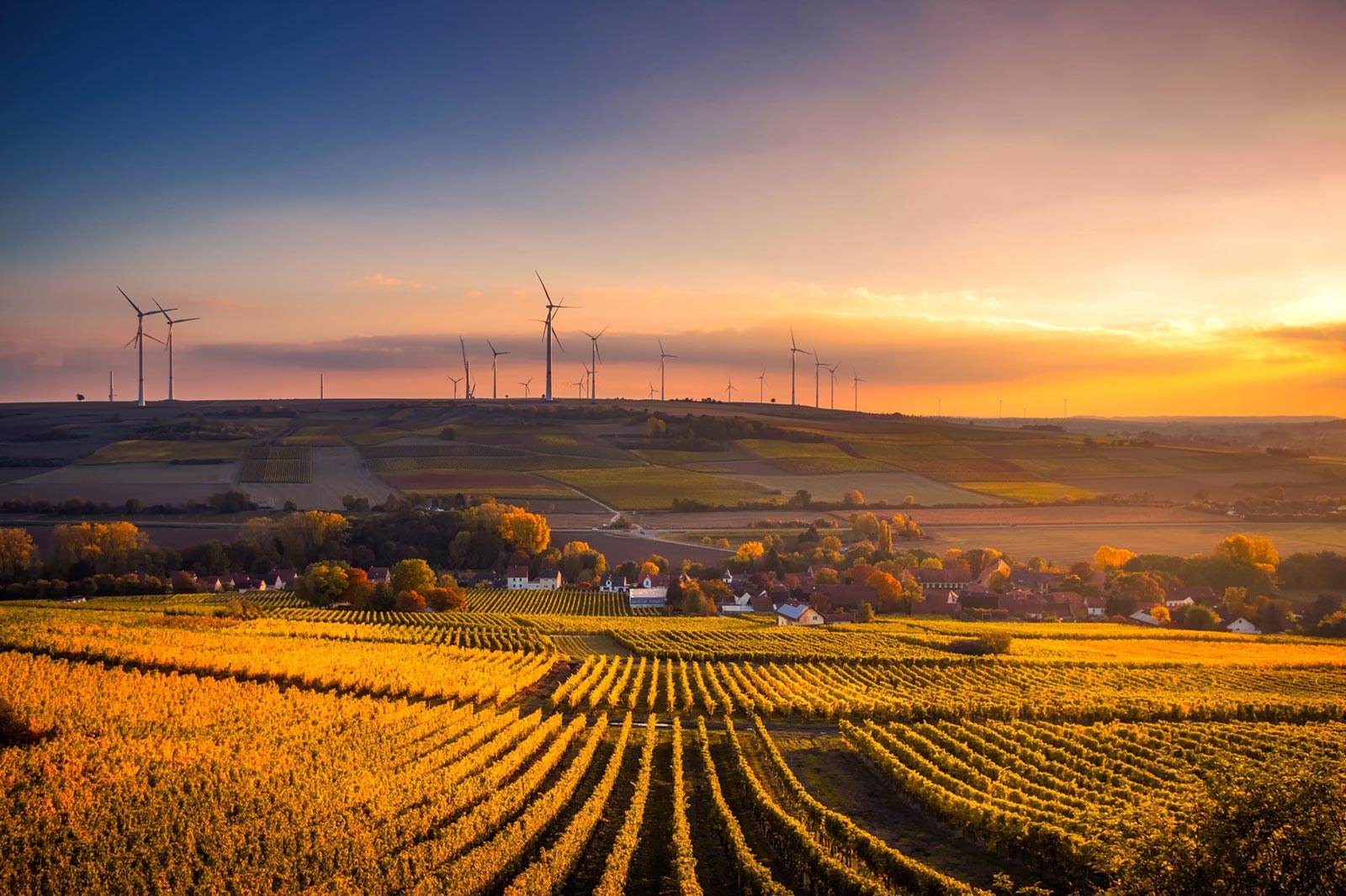 American Federalism and the Environment