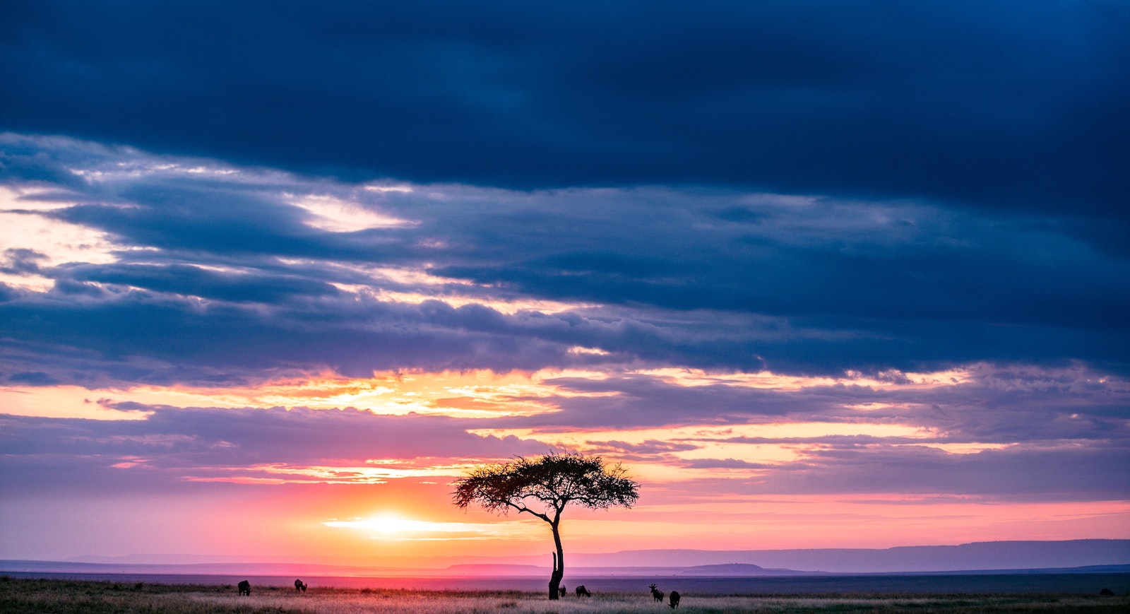 Oversight: Protecting Human Rights in International Conservation