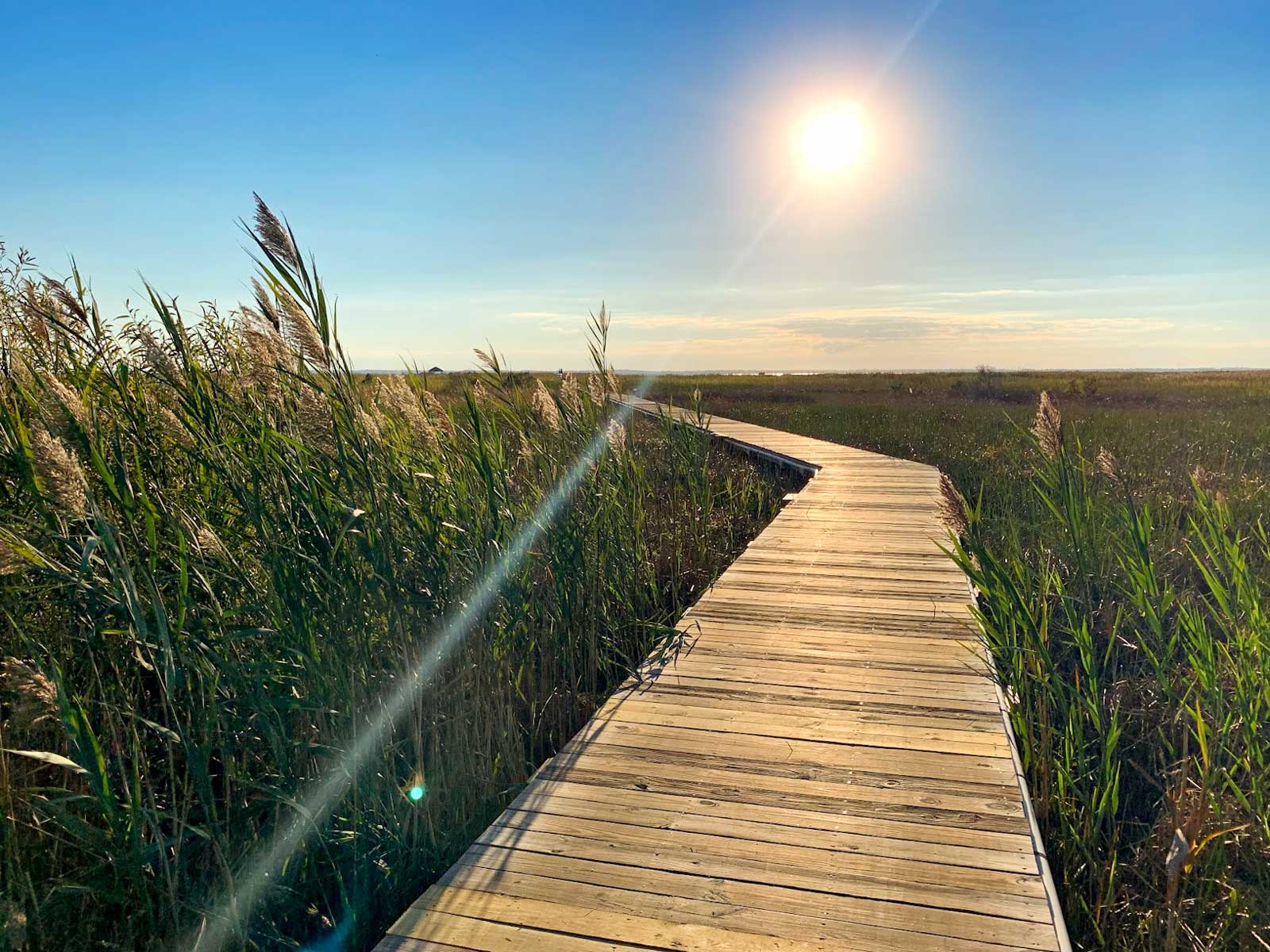 Conservation in the Outer Banks
