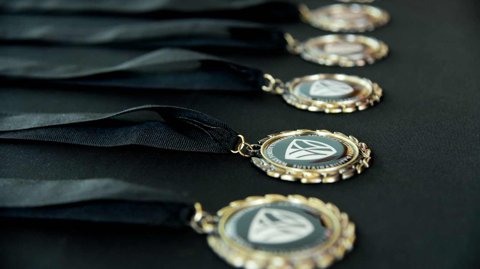 Sustainability Graduate Students Celebrated at Student Showcase