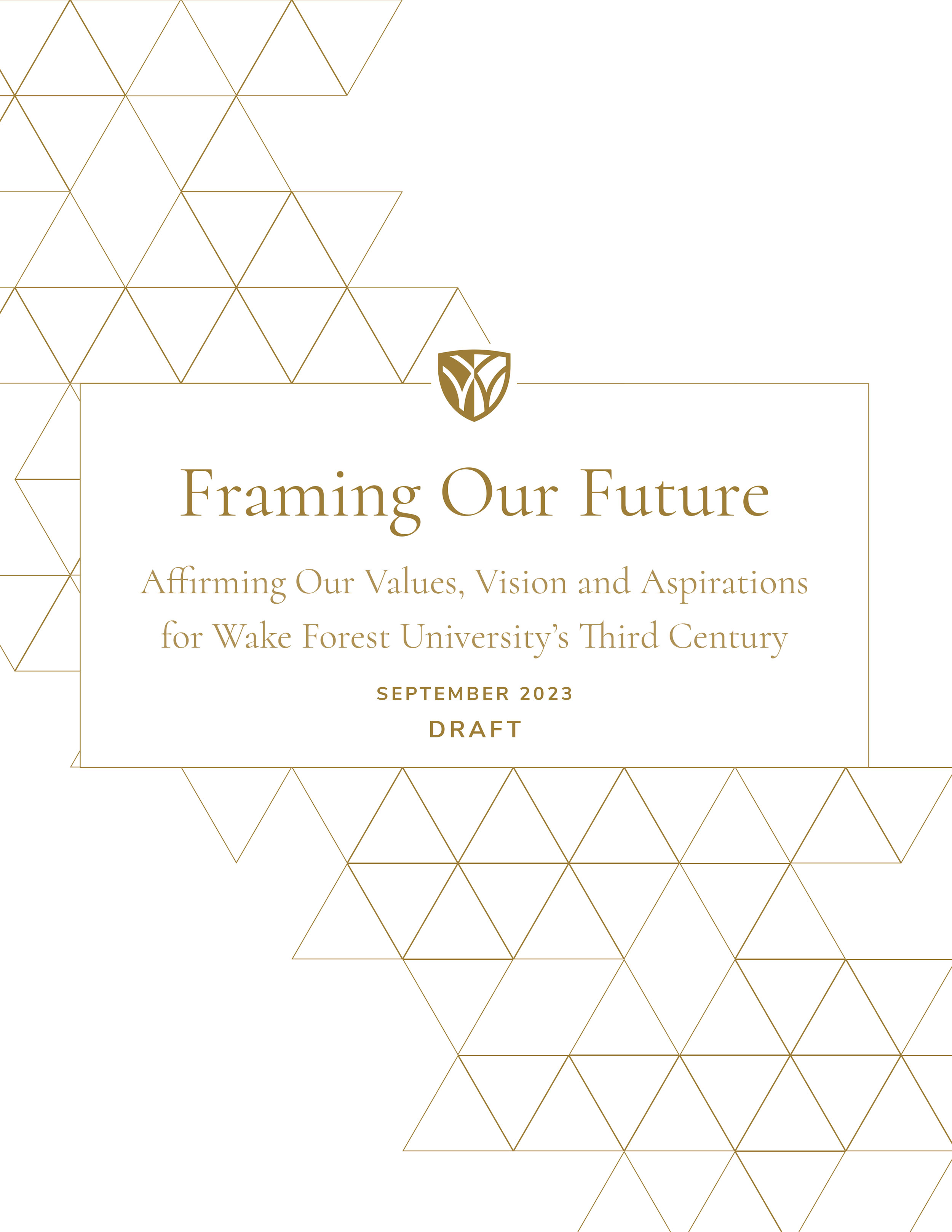 View the Strategic Framework PDF