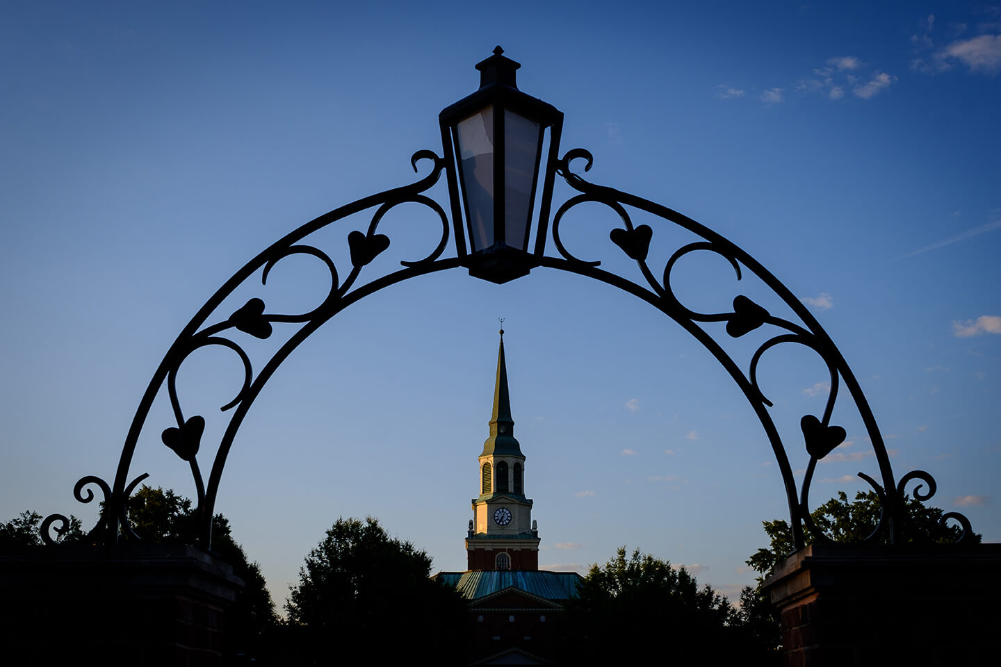 Update on Presidential Search