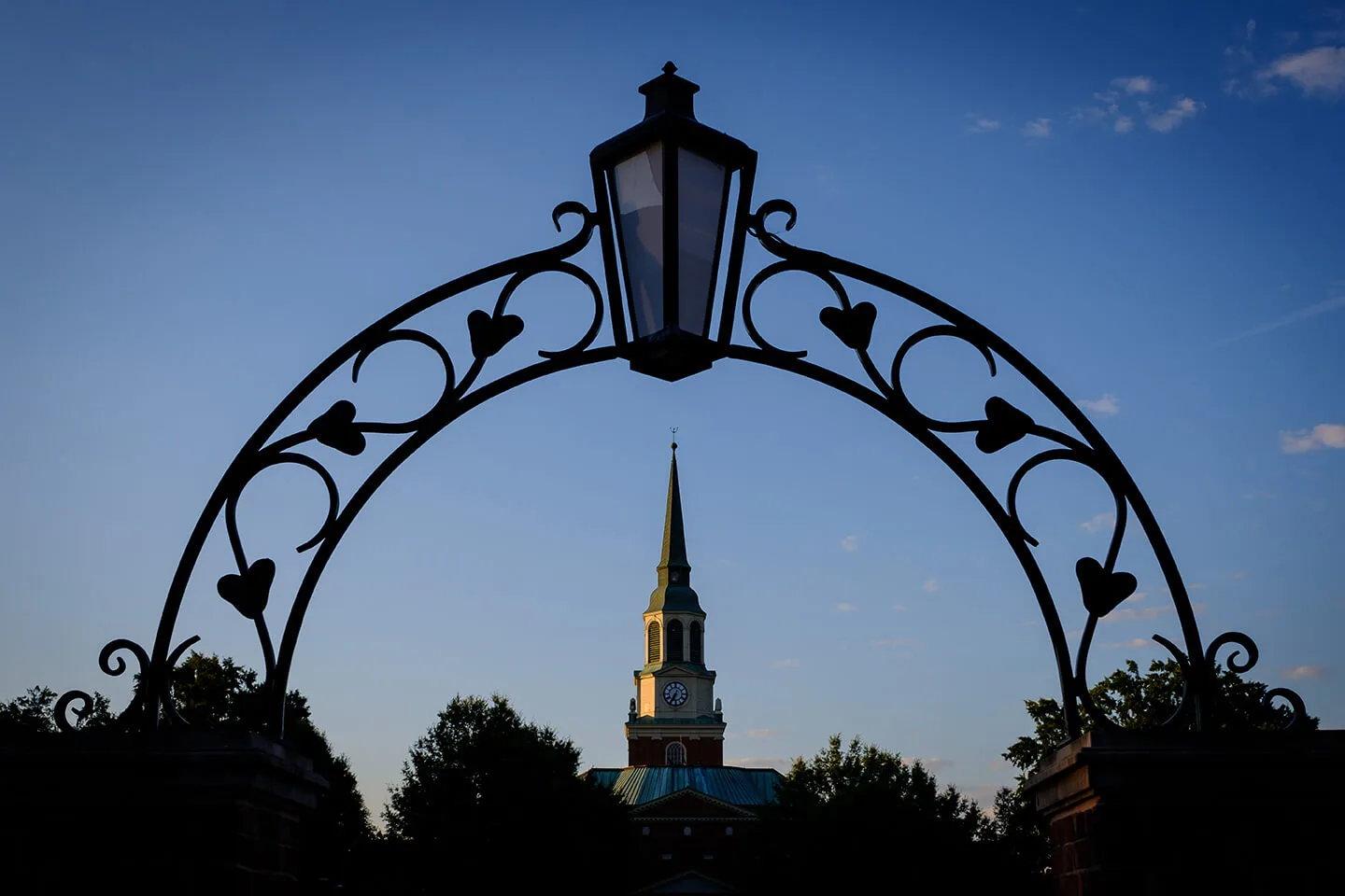 Update on Presidential Search