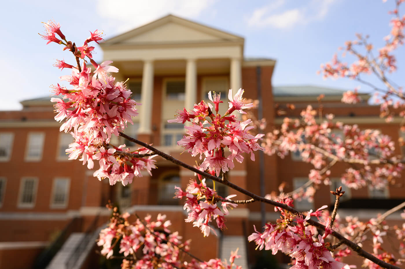 Update on Presidential Search