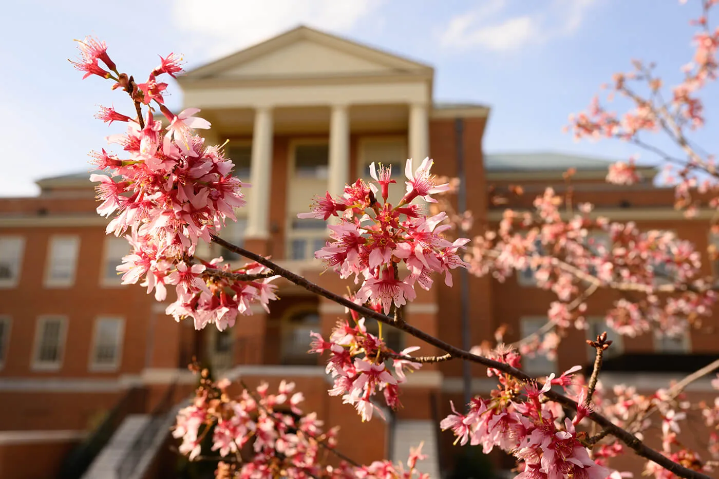 Update on Presidential Search