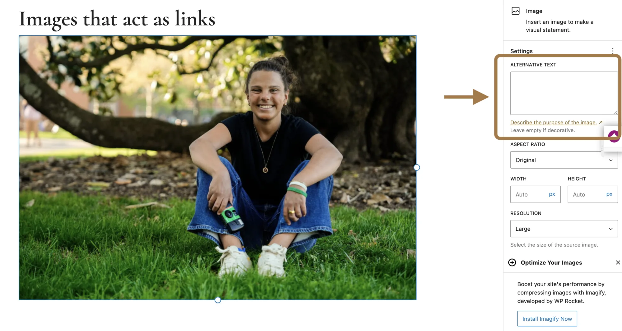 Where to add alt text to an image that is a link