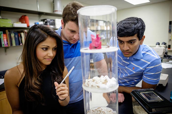 Sumi Mahajan ('16), Andrew Barth ('16), and Chirag Patel ('16)