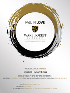 Fall in Love poster