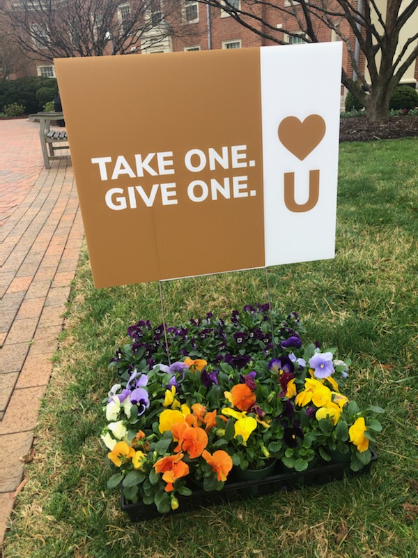 Photo of flower pots on the Wake Forest University quad with a yard sign that says "Take one. Give one." and the Show Humanitate "Heart U" logo