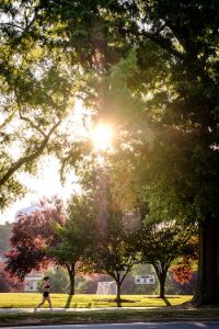 Photo of the sun rising over Poteat Field during the summer. A woman is running is the foreground, and a soccer goal and score board are visible behind large trees that line the field.