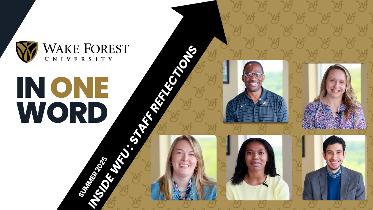 Staff reflections: Summer 2025 – looking forward