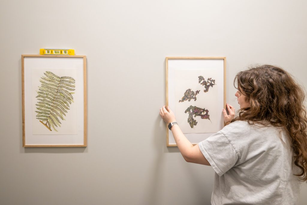 Cross-department collaboration brings art and science to The Bridge | Inside WFU