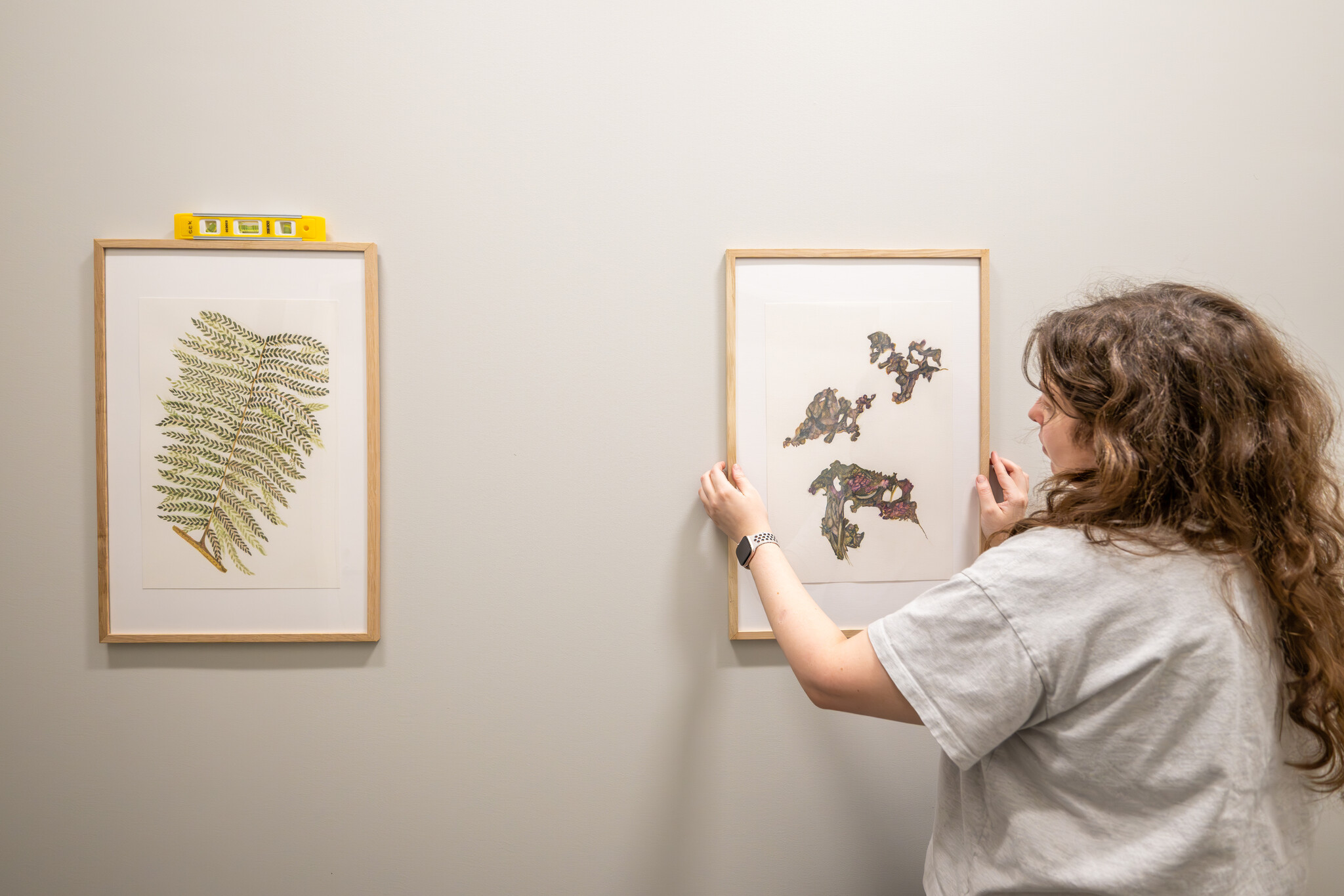 student hanging exhibit artwork