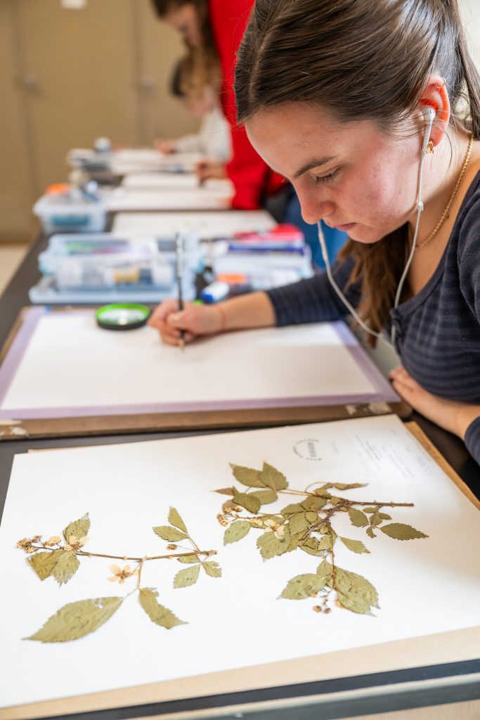 student studying plants