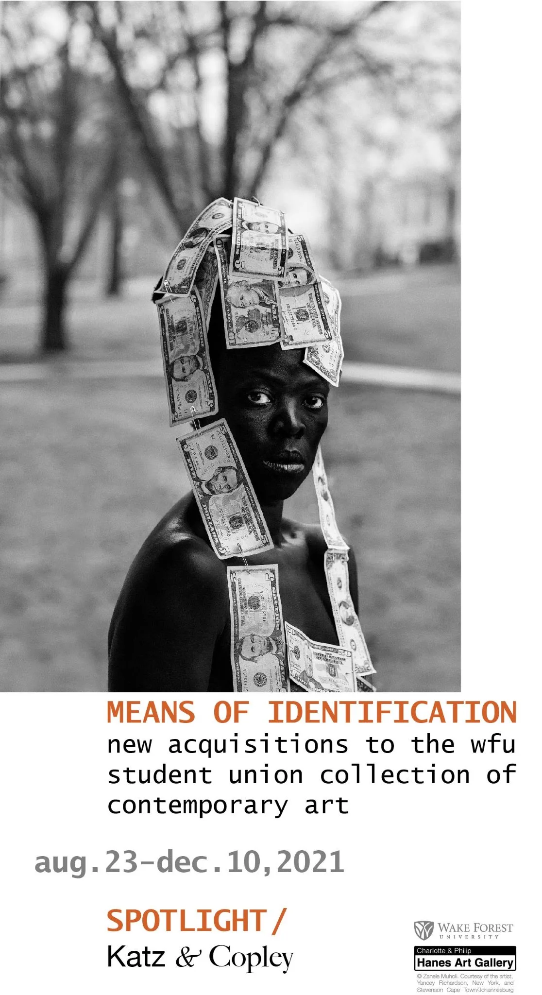 Decorative graphic for Means of Identification, text in details below