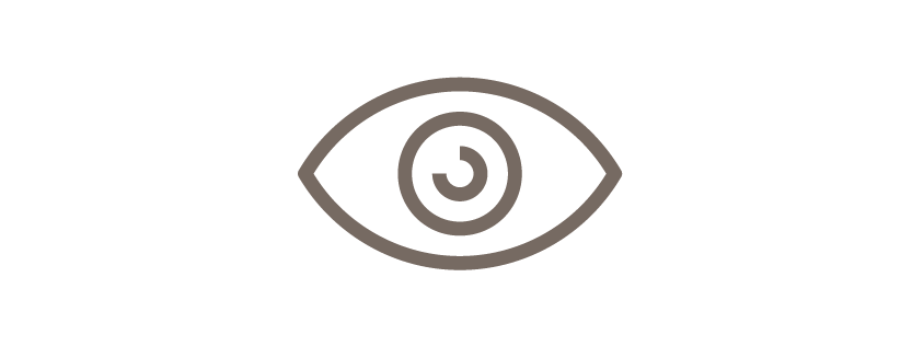 Lenses Icon