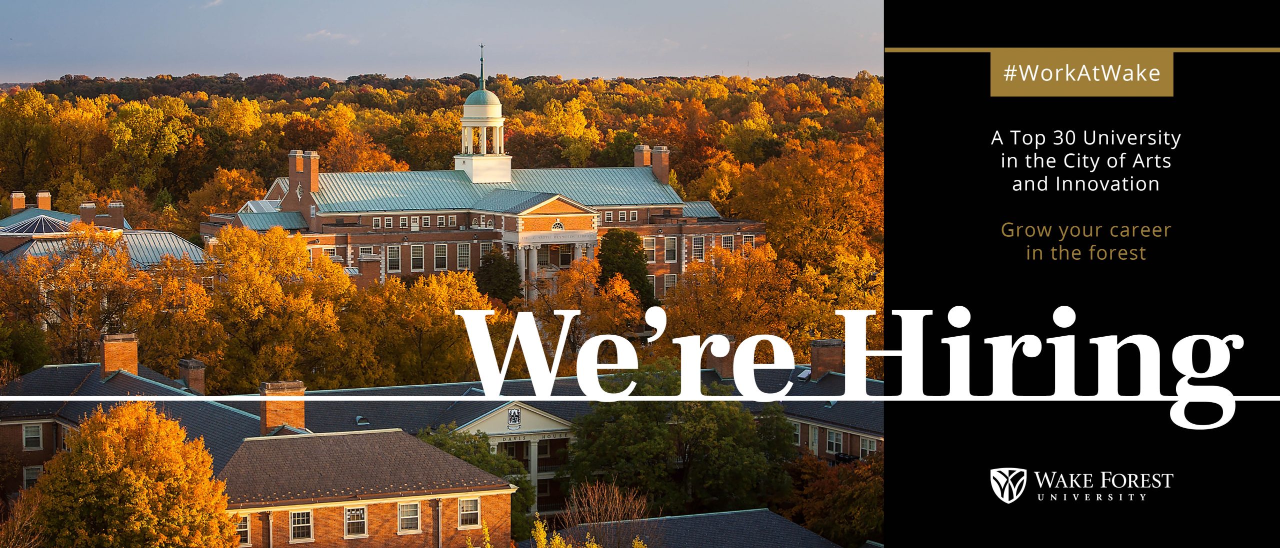 Wake Forest University