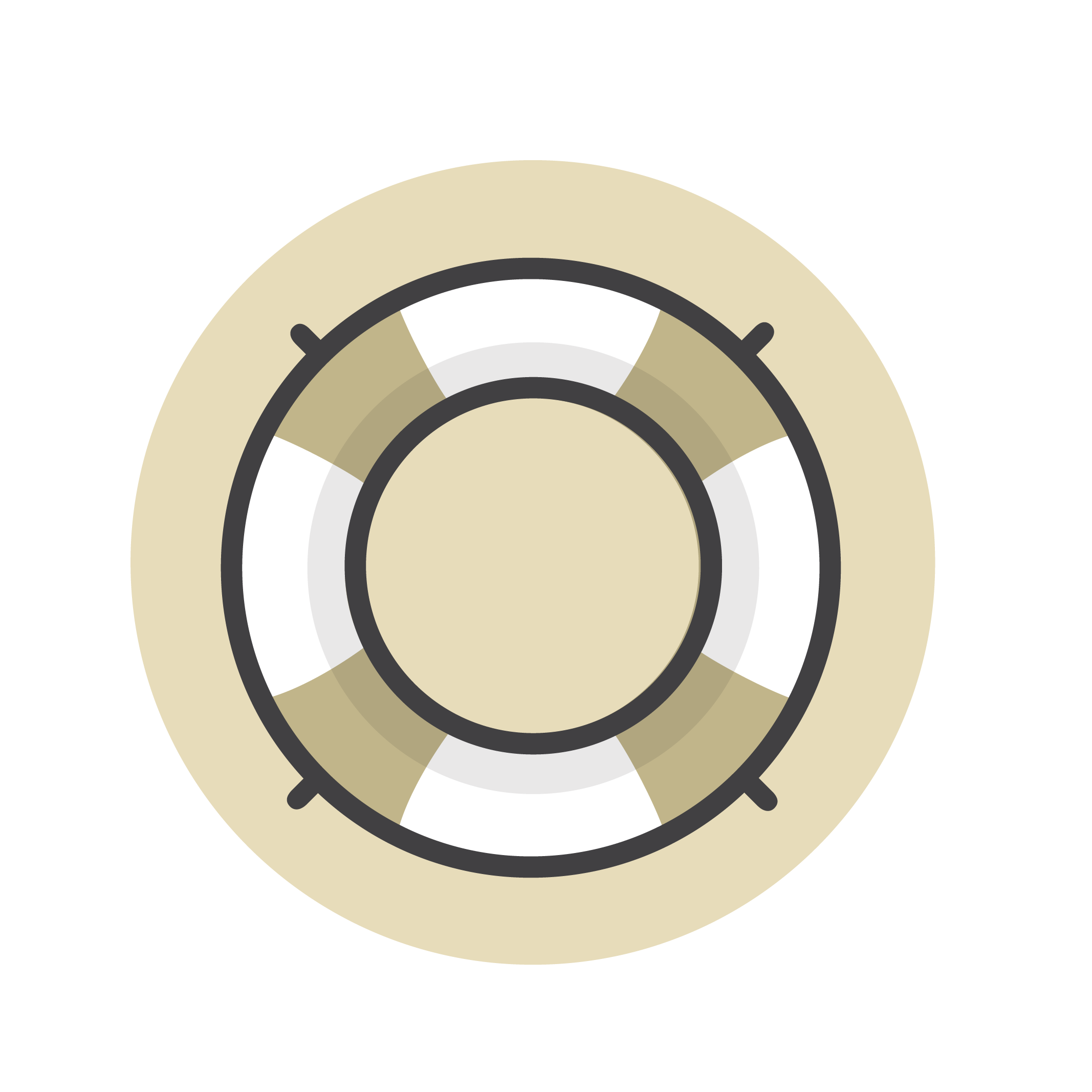 Life Preserver Icon