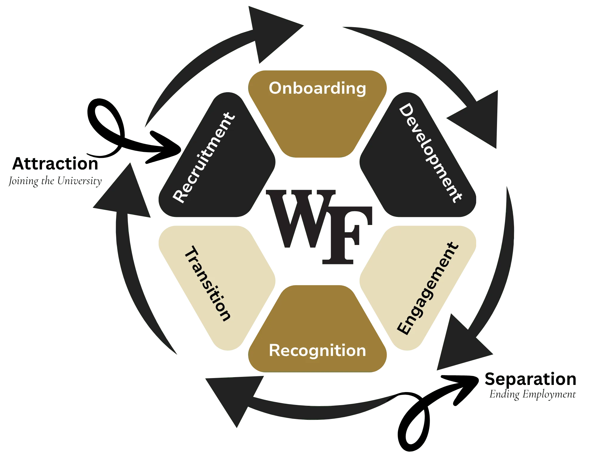 Stages of the Employee Lifecycle