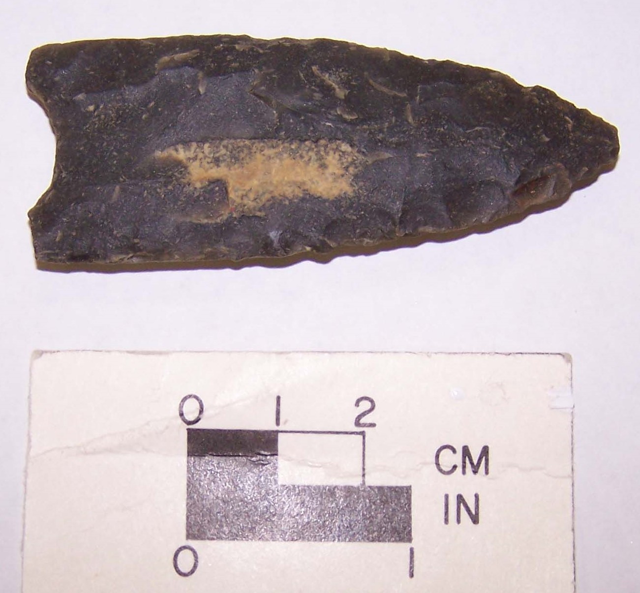 Clovis point